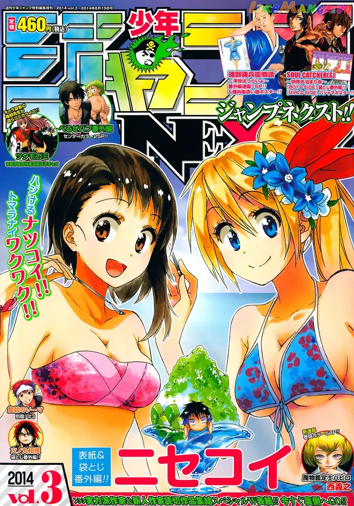 Nisekoi Chapter 133.1 image 2_optimized
